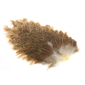 Indian Hen saddel - Ginger