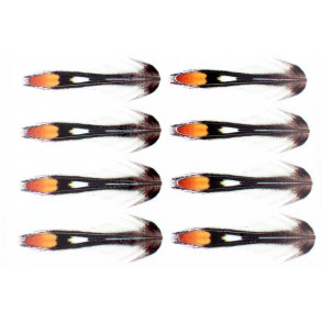 Jungle cock Sub. Natural - 15 mm