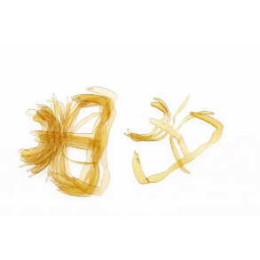 Kiley Crab Bits - Natural For Size 1 Hook