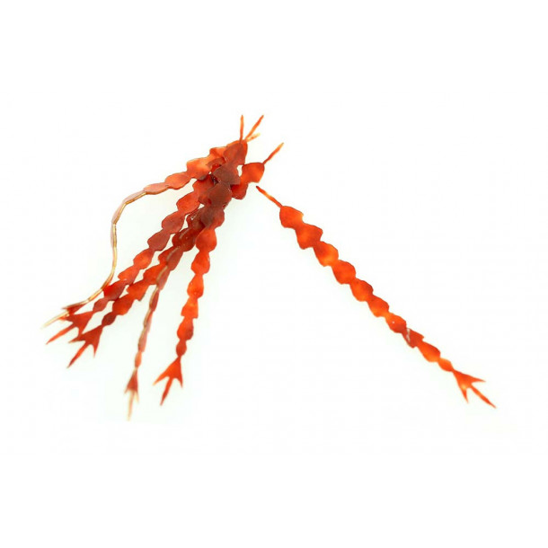 Klieys Dragon fly tailz - Rusty Orange