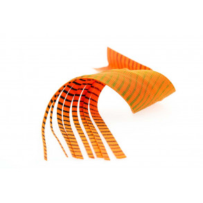 Lizard Legs - Orange Black Fl. Lime