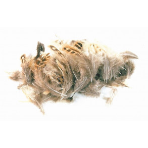 Loose partridge - Natural