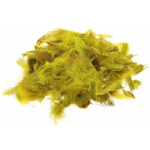 Loose partridge - Olive Golden