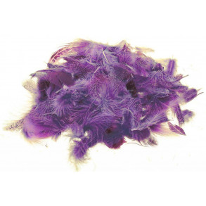 Loose partridge - Purple