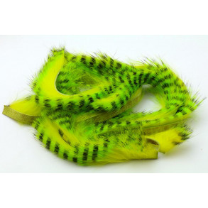 Magnum Tiger zonker - Black/Green/Chatreuse/Black