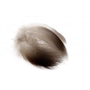 Mallard - Bronze nature