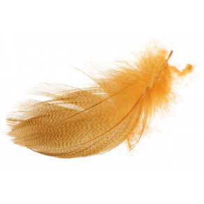 Mallard Barred Flank Feathers - Amber