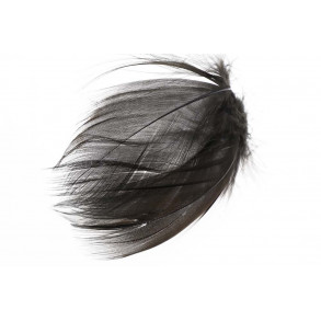 Mallard Barred Flank Feathers - Black