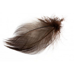 Mallard Barred Flank Feathers - Brown