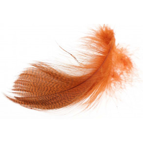 Mallard Barred Flank Feathers - Burnt Orange