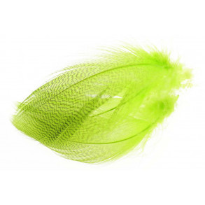 Mallard Barred Flank feathers - Chartreuse