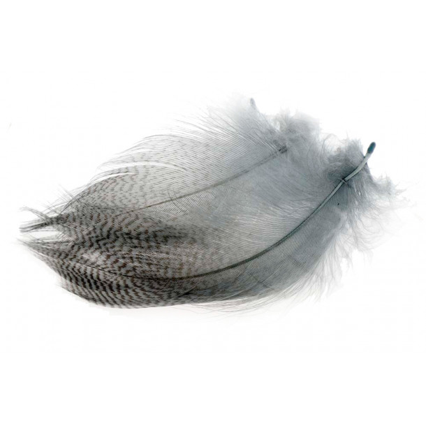 Mallard Barred Flank Feathers - Dun