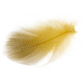 Mallard Barred Flank Feathers - Dyed Woodduck