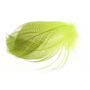 Mallard Barred Flank Feathers - Fluo. Yellow
