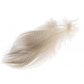 Mallard Barred Flank Feathers - Natural