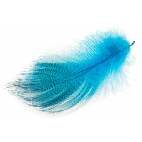 Mallard Barred Flank Feathers - Peacock Blue