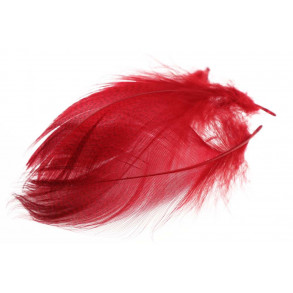 Mallard Barred Flank Feathers - Red