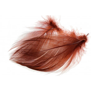 Mallard Barred Flank Feathers - Rusty Brown