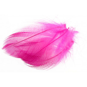 Mallard Barred Flank Feathers- Fl. Pink