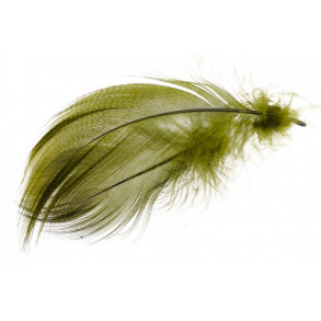 Mallard Barred Flank Feathers- Olive