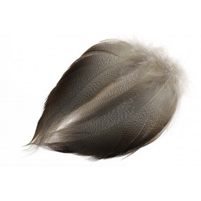 Mallard Bronze - Spey LARGE Select