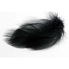 Mallard Duck Wing Large Selected - Black