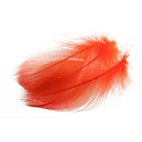Mallard Duck Wing Large Selected - Fl. Fire Orange