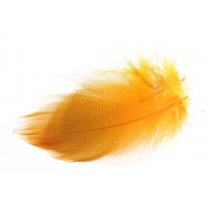 Mallard Duck Wing Large Selected - Fl. Orange