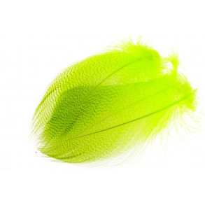 Mallard Duck Wing Large Selected - Fluo Chartreuse