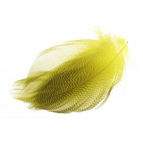 Mallard Duck Wing Large Selected - Mayfly Yellow