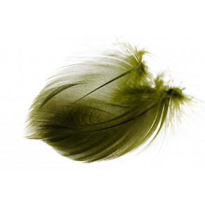 Mallard Duck Wing Large Selected - Olive