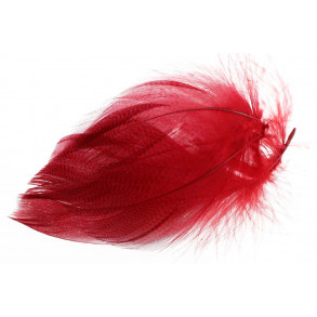 Mallard Duck Wing Large Selected - Red