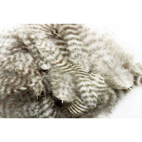 Metz Soft hackles - Grizzly