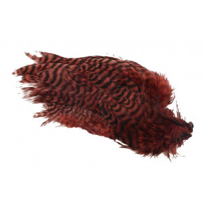 Metz Soft hackles - Grizzly Brown