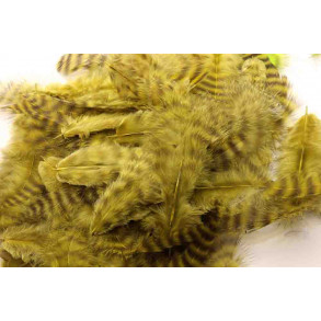 Metz Soft hackles - Grizzly Olive