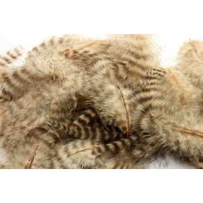 Metz Soft hackles - Grizzly tan