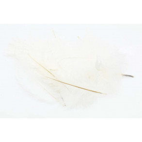 Micro Ostrich Spey Plumes - White