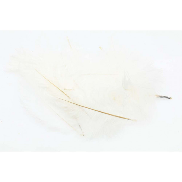 Micro Ostrich Spey Plumes - White