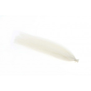 Mirror Image - Natural Belly