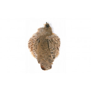 Partridge - Whole skin nature