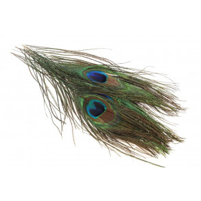 Peacock Eyefeather - Natural