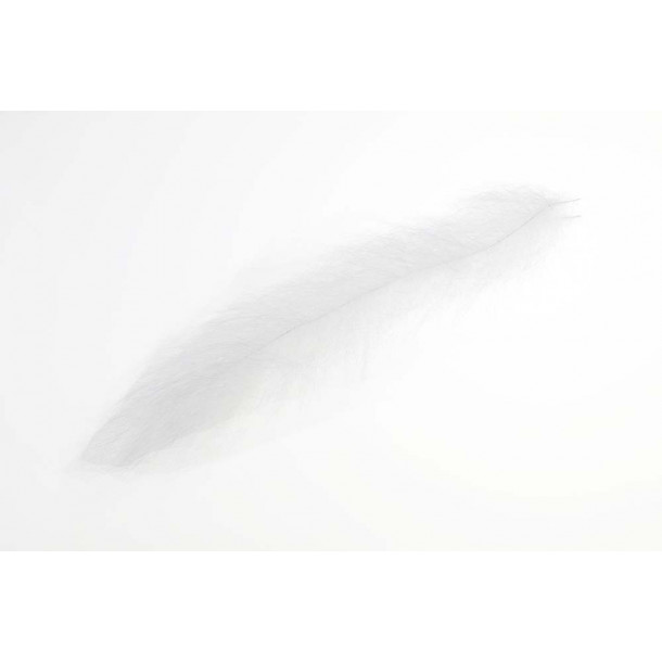 PF Brush 3" - White