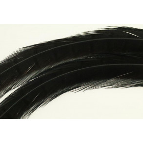 Phesant tail - Black