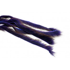 Pine squirrel - Purple