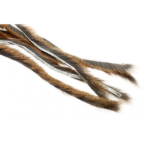 Pine squirrel - Tan