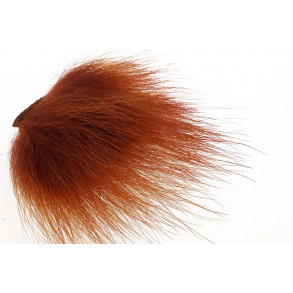 Polar Bear body select - Fiery Brown