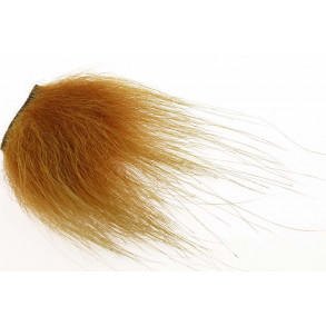 Polar Bear select - Ginger