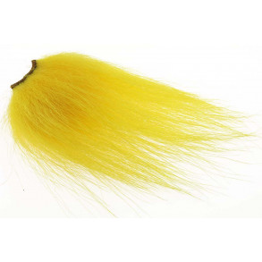 Polar Bear select - Yellow