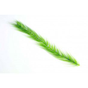 Polar Fiber Streamer Brush - Chartreuse/Green