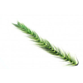 Polar Fiber Streamer Brush - Eletric Yellow/Black